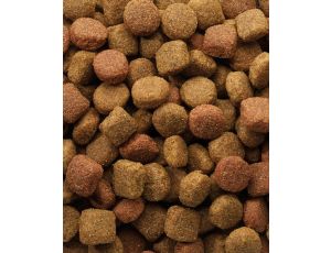 Versele-Laga Oke Dog Classic Duo Krok 20kg - 2