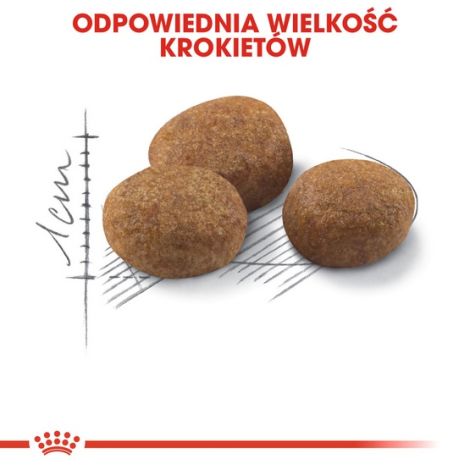 Royal Canin Sterilised 7+ karma sucha dla kotów dorosłych, od 7 do 12 roku życia, sterylizowanych 1,5kg - 6