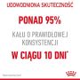 Royal Canin Digestive Care karma mokra w sosie dla kotów dorosłych, wrażliwy przewód pokarmowy saszetka 85g - 2