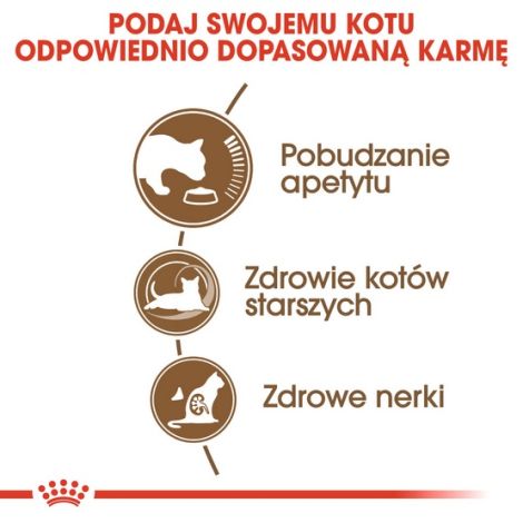 Royal Canin Ageing +12 karma sucha dla kotów dojrzałych 4kg - 5