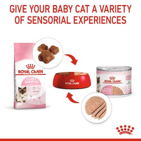 Royal Canin Mother & Babycat Mousse karma mokra - mus dla kociąt i kotek karmiących puszka 195g - 4