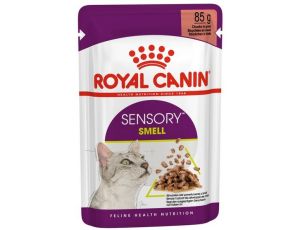 Royal Canin Sensory Smell w sosie karma mokra dla kotów dorosłych saszetka 85g