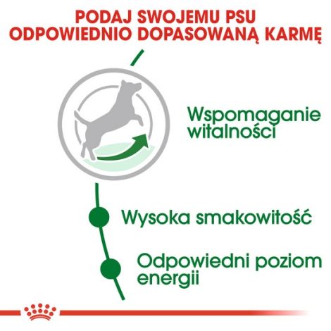 Royal Canin Mini Adult 8+ karma sucha dla psów starszych od 8 do 12 roku życia, ras małych 2kg - 5