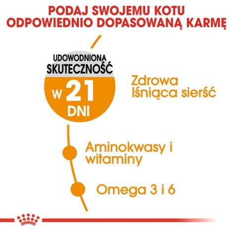 Royal Canin Hair&Skin Care karma sucha dla kotów dorosłych, lśniąca sierść i zdrowa skóra 2kg - 3