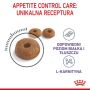 Royal Canin Appetite Control Care karma sucha dla kotów dorosłych, domagających się jedzenia 3,5kg - 4