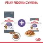 Royal Canin Appetite Control Care karma sucha dla kotów dorosłych, domagających się jedzenia 3,5kg - 5