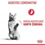 Royal Canin Appetite Control Care karma sucha dla kotów dorosłych, domagających się jedzenia 3,5kg - 3