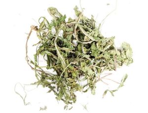 Wio-Mar Mniszek lekarski 150g