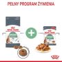 Royal Canin Digestive Care karma sucha dla kotów dorosłych, wspomagająca przebieg trawienia 10kg - 5