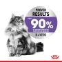 Royal Canin Appetite Control Care karma mokra w sosie dla kotów dorosłych, domagających się jedzenia saszetka 85g - 2