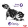 Royal Canin Appetite Control Care karma mokra w sosie dla kotów dorosłych, domagających się jedzenia saszetka 85g - 3