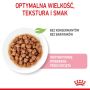 Royal Canin Kitten Sterilised karma mokra w sosie dla kociąt od 6 do 12 miesiąca życia, sterylizowanych saszetka 85g - 2