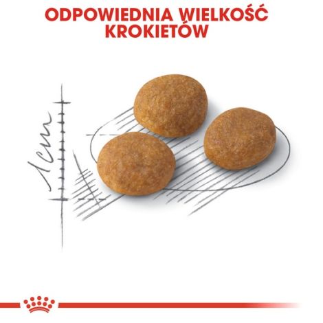 Royal Canin Exigent Aromatic Attraction karma sucha dla kotów dorosłych, wybrednych, kierujących się zapachem 400g - 5