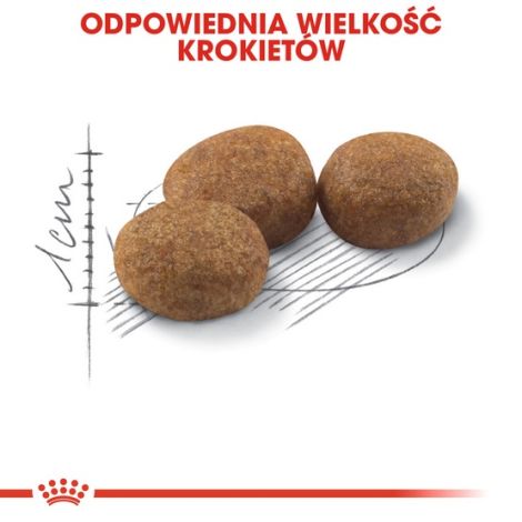 Royal Canin Sterilised karma sucha dla kotów dorosłych, sterylizowanych 4kg - 5