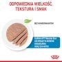 Royal Canin Starter Mother&Babydog karma mokra - mus, dla suk w czasie ciąży, laktacji oraz szczeniąt puszka 195g - 3