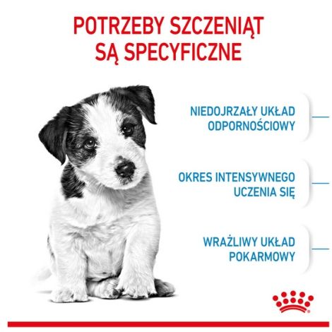 Royal Canin Mini Puppy karma sucha dla szczeniąt, od 2 do 10 miesiąca życia, ras małych 4kg - 2