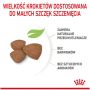 Royal Canin Mini Puppy karma sucha dla szczeniąt, od 2 do 10 miesiąca życia, ras małych 4kg - 4