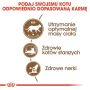 Royal Canin Ageing +12 Sterilised karma sucha dla kotów dojrzałych, sterylizowanych 2kg - 5