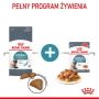 Royal Canin Hairball Care karma sucha dla kotów dorosłych, eliminacja kul włosowych 400g - 5