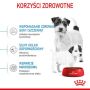 Royal Canin Mini Starter Mother&Babydog karma sucha dla szczeniąt do 2 miesiąca i suk karmiących ras małych 4kg - 3