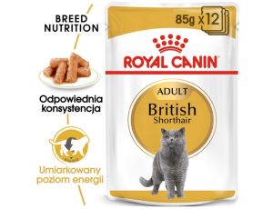 Royal Canin British Shorthair karma mokra w sosie dla kotów dorosłych rasy brytyjski krótkowłosy saszetka 85g