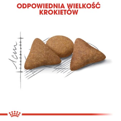 Royal Canin Indoor Apetite Control karma sucha dla kotów dorosłych przebywających w domu, domagających się jedzenia 400g - 5