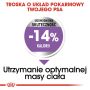 Royal Canin Mini Sterilised karma sucha dla psów dorosłych, ras małych, sterylizowanych 3kg - 4