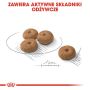 Royal Canin Mini Sterilised karma sucha dla psów dorosłych, ras małych, sterylizowanych 3kg - 5