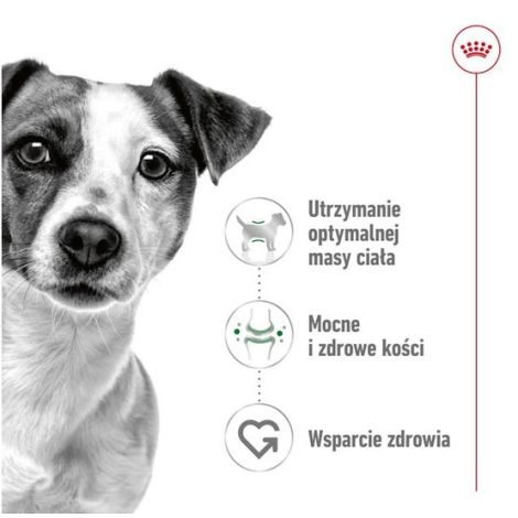 Royal Canin Mini Adult karma sucha dla psów dorosłych, ras małych 8kg - 2