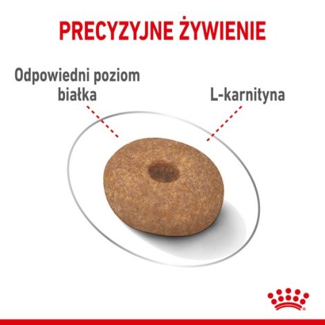 Royal Canin Mini Light Weight Care karma sucha dla psów dorosłych, ras małych z tendencją do nadwagi 3kg - 5