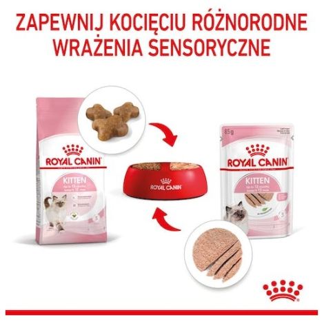 Royal Canin Kitten pasztet (loaf) karma mokra dla kociąt do 12 miesiąca życia saszetka 85g - 4