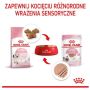 Royal Canin Kitten pasztet (loaf) karma mokra dla kociąt do 12 miesiąca życia saszetka 85g - 4