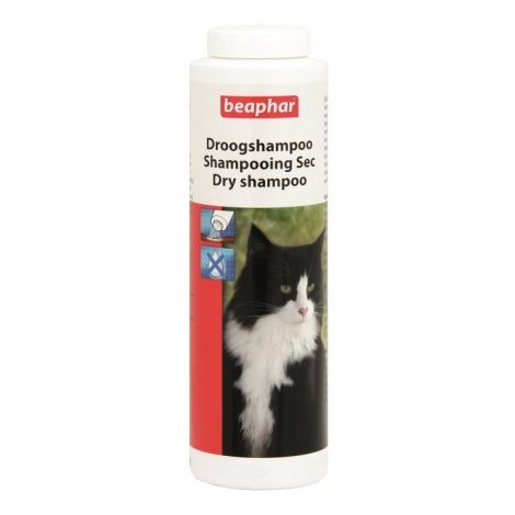 Beaphar Grooming Shampoo - suchy szampon dla kota 150g