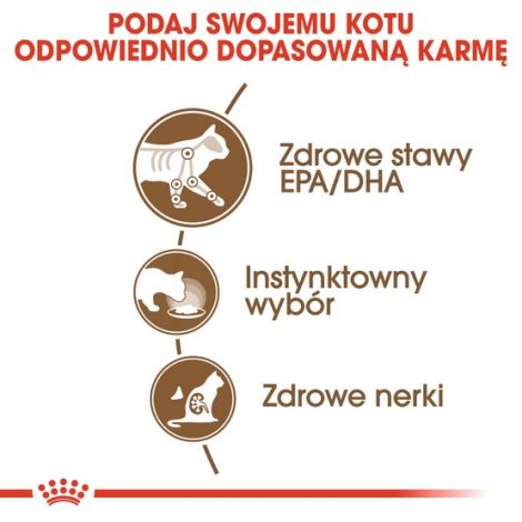 Royal Canin Ageing +12 karma mokra w sosie dla kotów dojrzałych saszetka 85g - 5