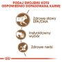 Royal Canin Ageing +12 karma mokra w sosie dla kotów dojrzałych saszetka 85g - 5