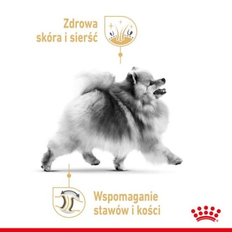 Royal Canin Pomeranian Adult karma mokra dla psów dorosłych rasy szpic miniaturowy, pasztet saszetka 85g - 2