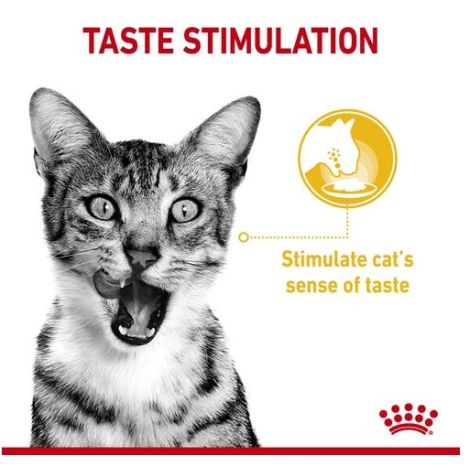 Royal Canin Sensory Taste w sosie karma mokra dla kotów dorosłych saszetka 85g - 2