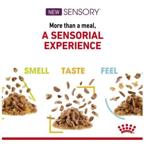 Royal Canin Sensory Taste w sosie karma mokra dla kotów dorosłych saszetka 85g - 4