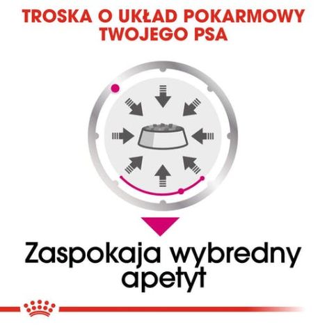 Royal Canin Exigent karma mokra dla wybrednych psów dorosłych, wszystkich ras, pasztet saszetka 85g - 3