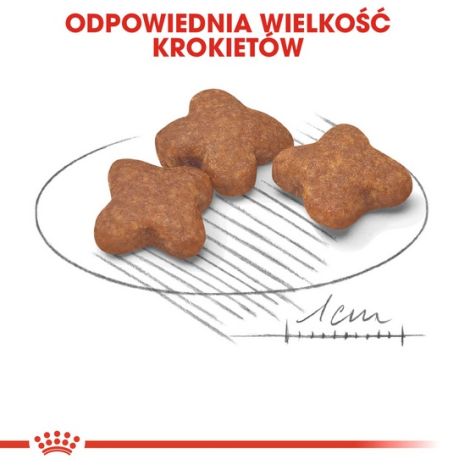 Royal Canin Mini Adult karma mokra w sosie dla psów dorosłych, ras małych saszetka 85g - 5