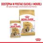 Royal Canin Shih Tzu Adult karma mokra dla psów dorosłych rasy shih tzu saszetka 85g - 4