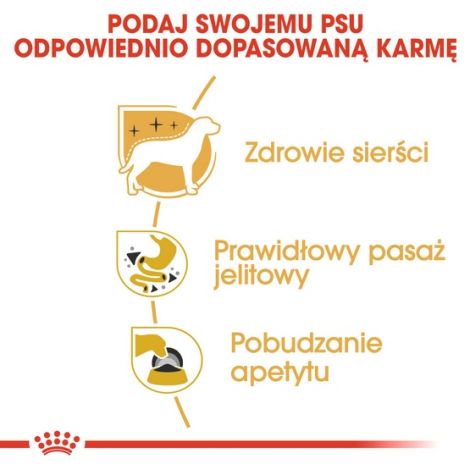 Royal Canin Chihuahua Adult karma mokra – pasztet, dla psów dorosłych rasy chihuahua saszetka 85g - 5