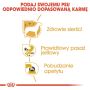 Royal Canin Chihuahua Adult karma mokra – pasztet, dla psów dorosłych rasy chihuahua saszetka 85g - 5