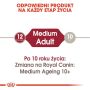 Royal Canin Medium Adult karma mokra w sosie dla psów dorosłych, ras średnich saszetika 140g - 3