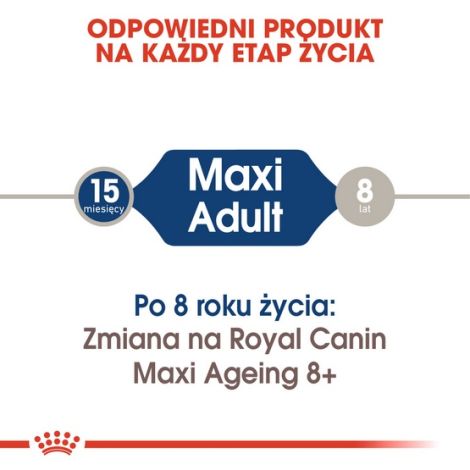 Royal Canin Maxi Adult karma mokra w sosie dla psów dorosłych, do 5 roku życia, ras dużych saszetka 140g - 3