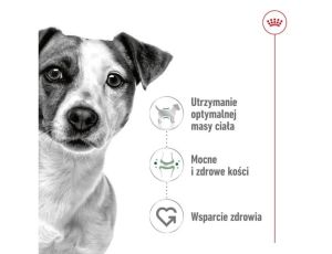 Royal Canin Mini Adult karma sucha dla psów dorosłych, ras małych 9kg (8+1kg) - 2