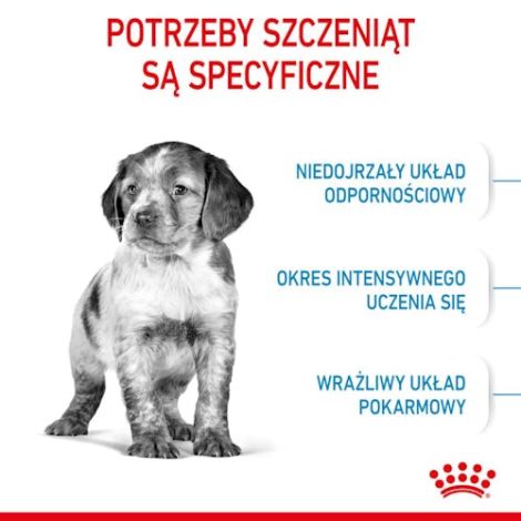 Royal Canin Medium Puppy karma sucha dla szczeniąt, od 2 do 12 miesiąca, ras średnich 1kg - 2