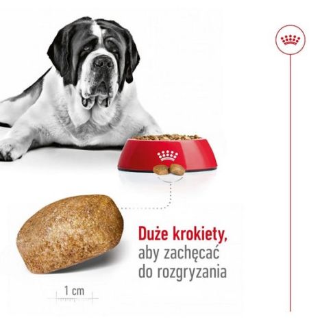 Royal Canin Giant Adult karma sucha dla psów dorosłych, od 18/24 miesiąca życia, ras olbrzymich PROMOCJA 18kg (15+3kg) - 5