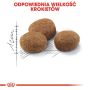 Royal Canin Sterilised 7+ karma sucha dla kotów dorosłych, od 7 do 12 roku życia, sterylizowanych 10kg - 6