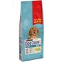 Purina Dog Chow Puppy Jagnięcina 14kg (11+3kg gratis)